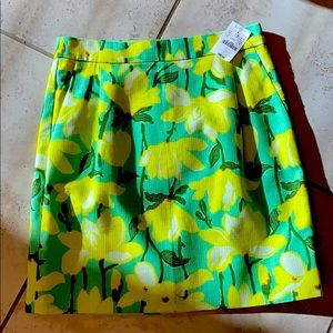 J.crew factory skirt size 00